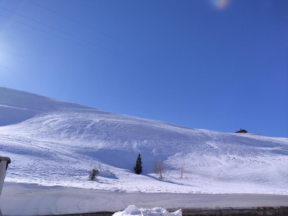 Black Lake Studios - Trepalle Livigno Bagian luar foto